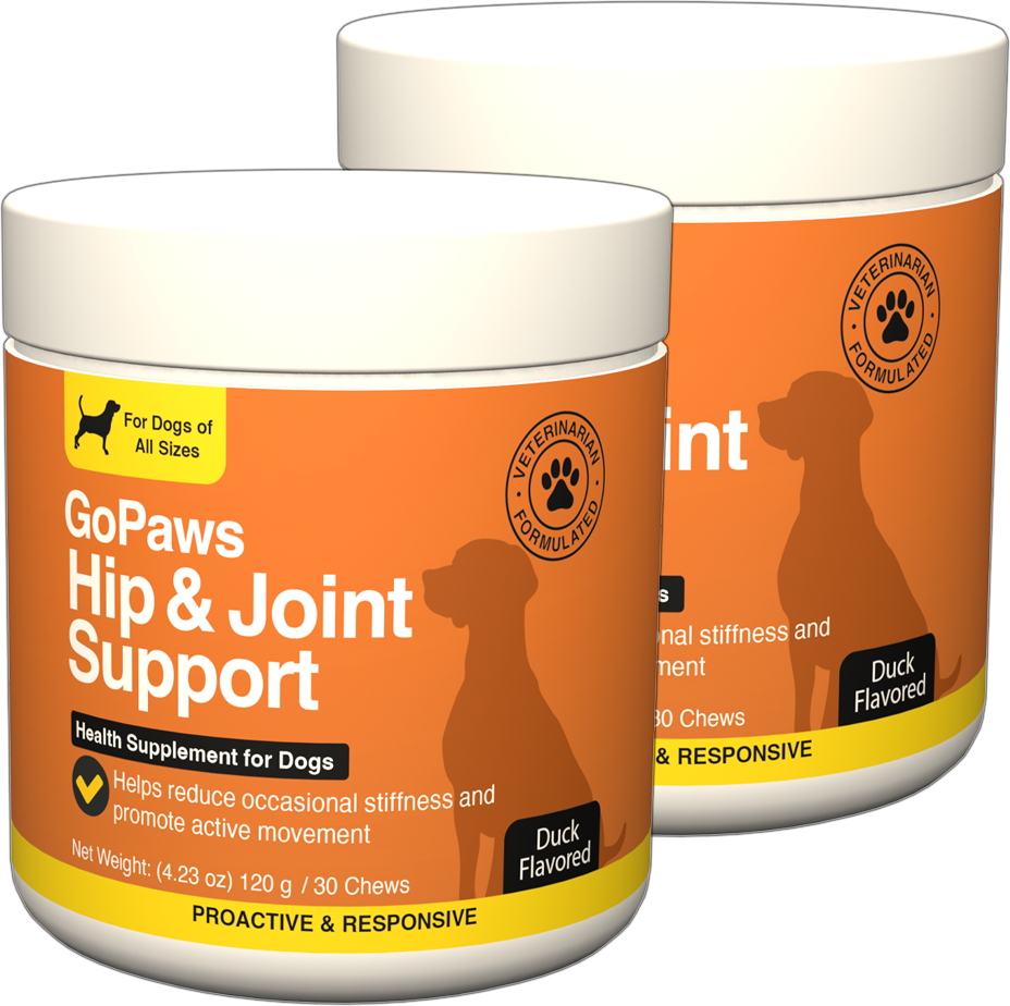 Hip & Joint Supplement - Big Dogs