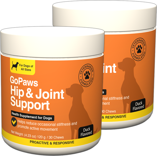 Hip & Joint Supplement - Big Dogs